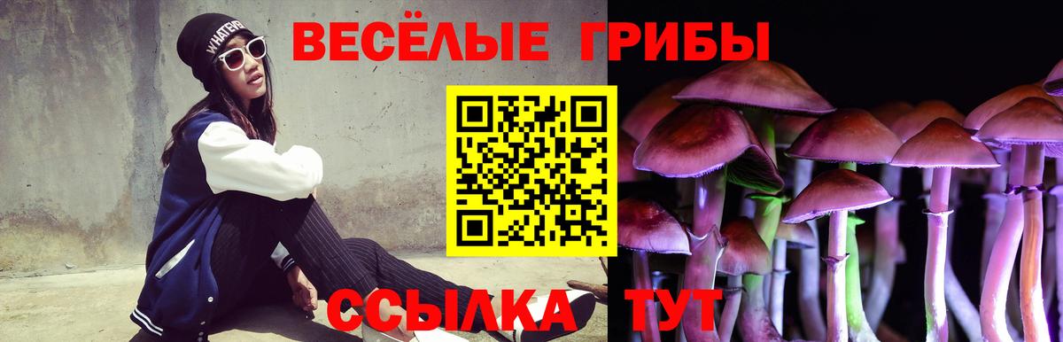 Галлюциногенные грибы Magic Shrooms  Галлюциногенные грибы ЛСД  Ижевск  Вход с VPN 